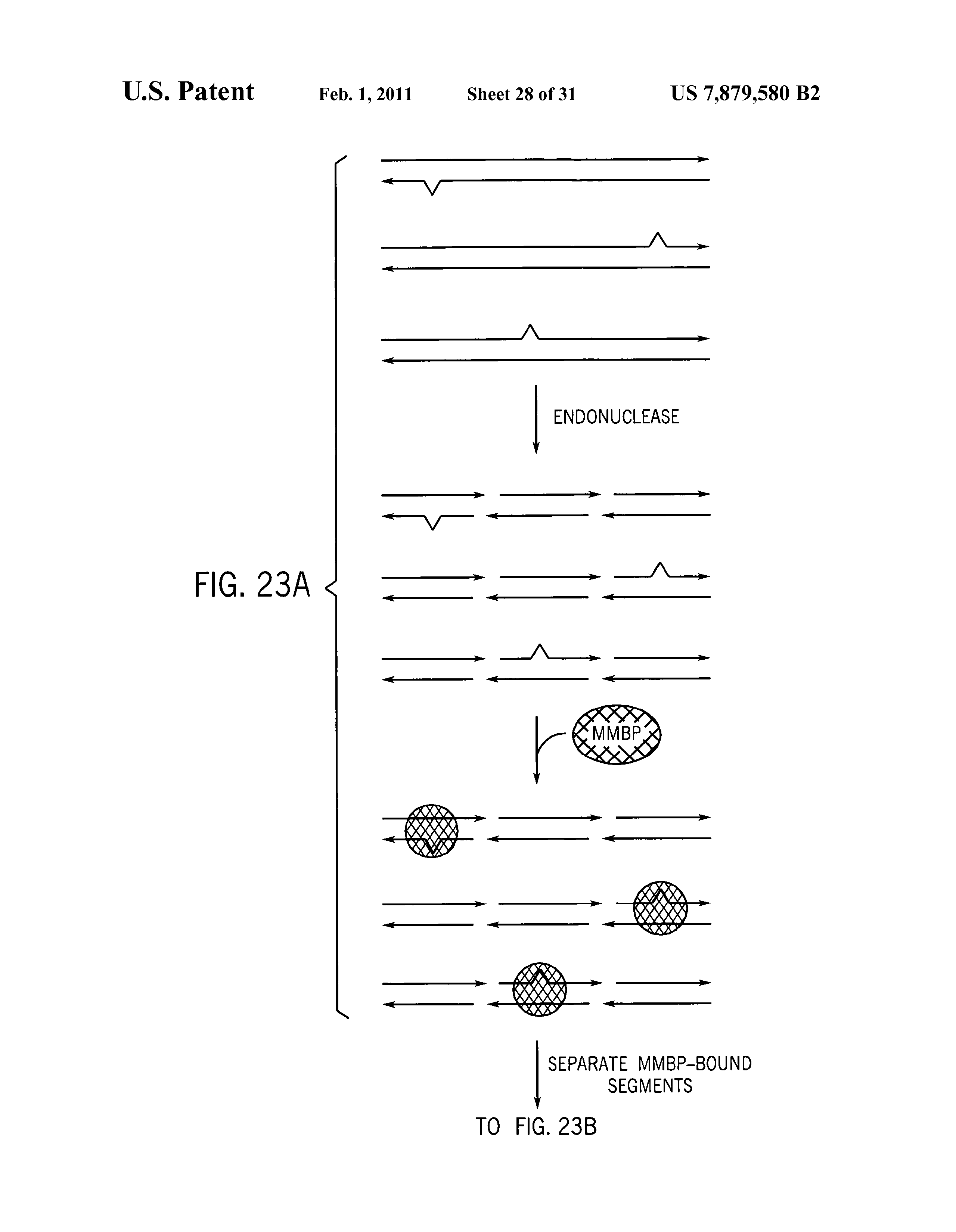 Us B2 Methods For High Fidelity Production Of Long Nucleic Acid Molecules Full Text