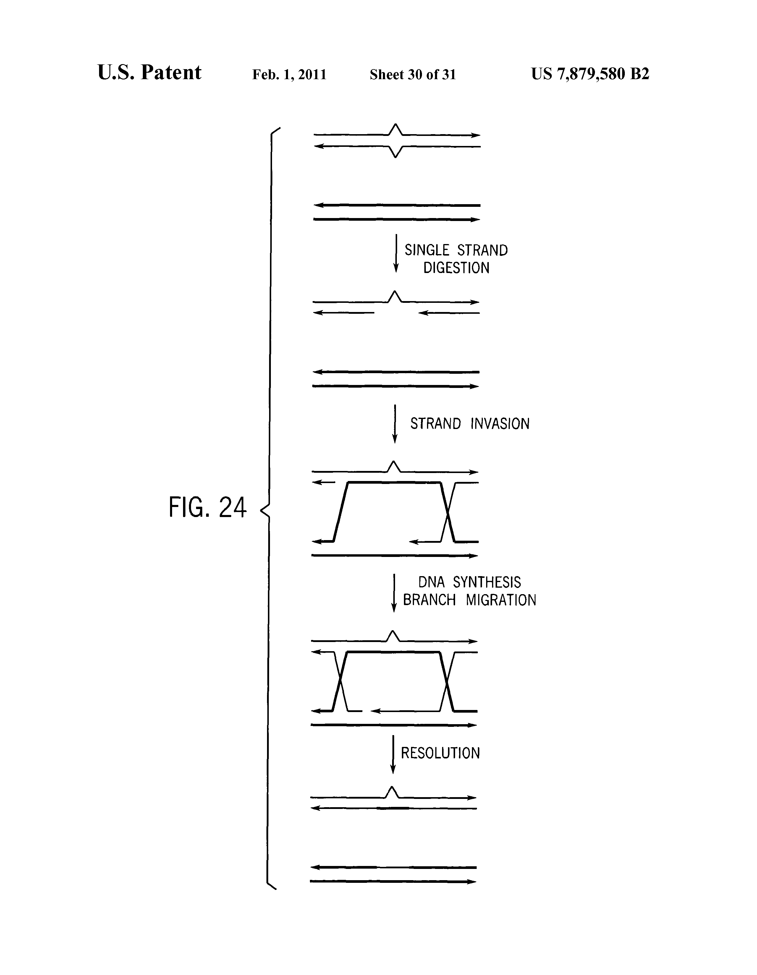 Us B2 Methods For High Fidelity Production Of Long Nucleic Acid Molecules Full Text