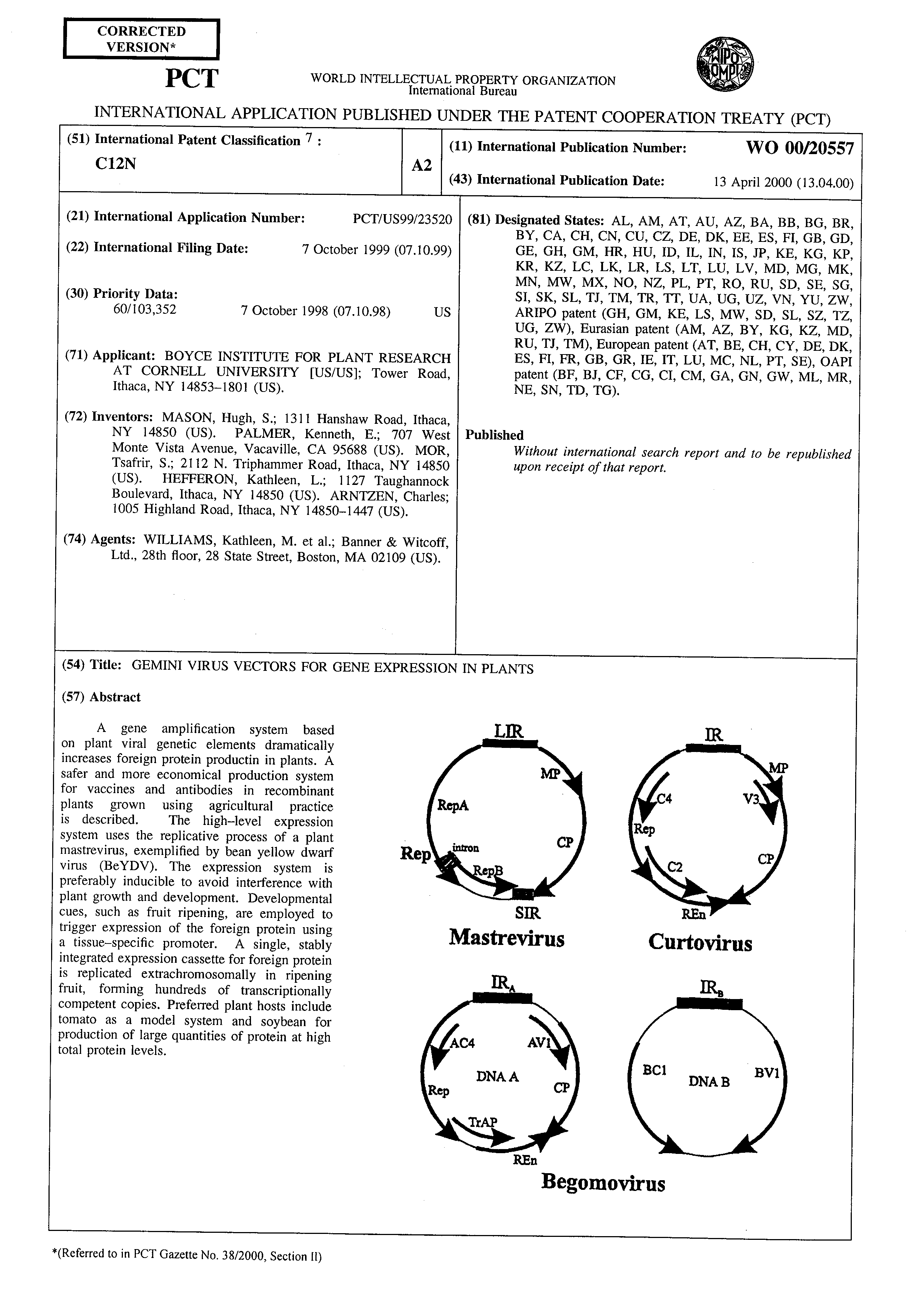 Wo 2000 020557 A2 Gemini Virus Vectors For Gene Expression In