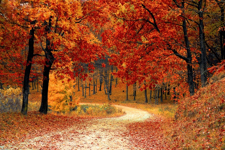 Take it Outdoors: Fun Fall Workouts