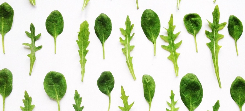 The Benefits of Eating Leafy Greens