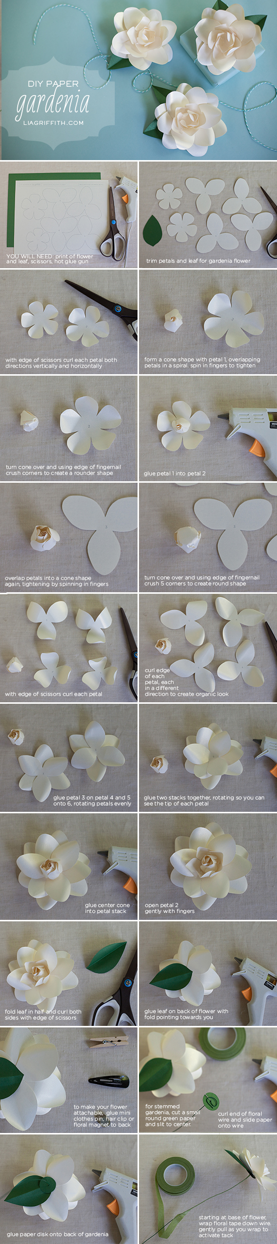 frosted paper gardenia lia griffith gardenia paper flower template