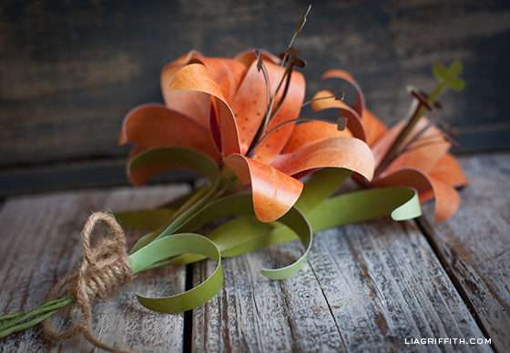 diy paper tiger lily paper lily template
