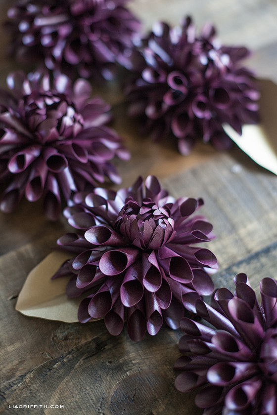 make a paper dahlia for fall lia griffith paper dahlia flower template