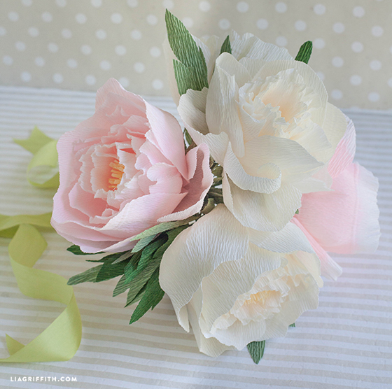 diy crepe paper peonies in cream blush colors lia griffith peony paper flower