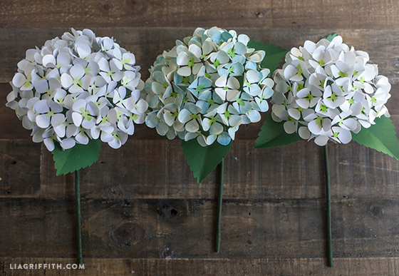 diy paper hydrangea flowers hydrangea paper flower template