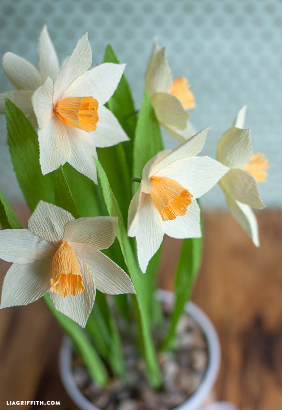 make your own crepe paper daffodils lia griffith how to make a paper narcissus flower