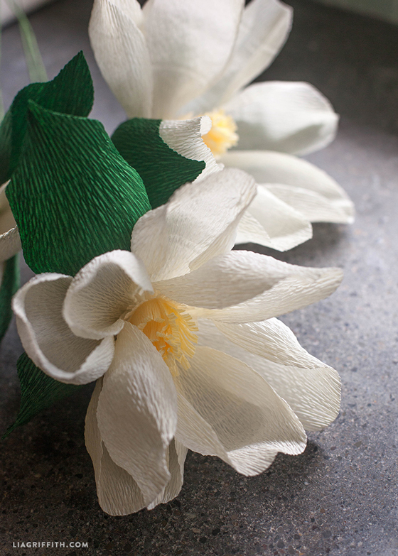 diy paper magnolia flower lia griffith flower using crepe paper
