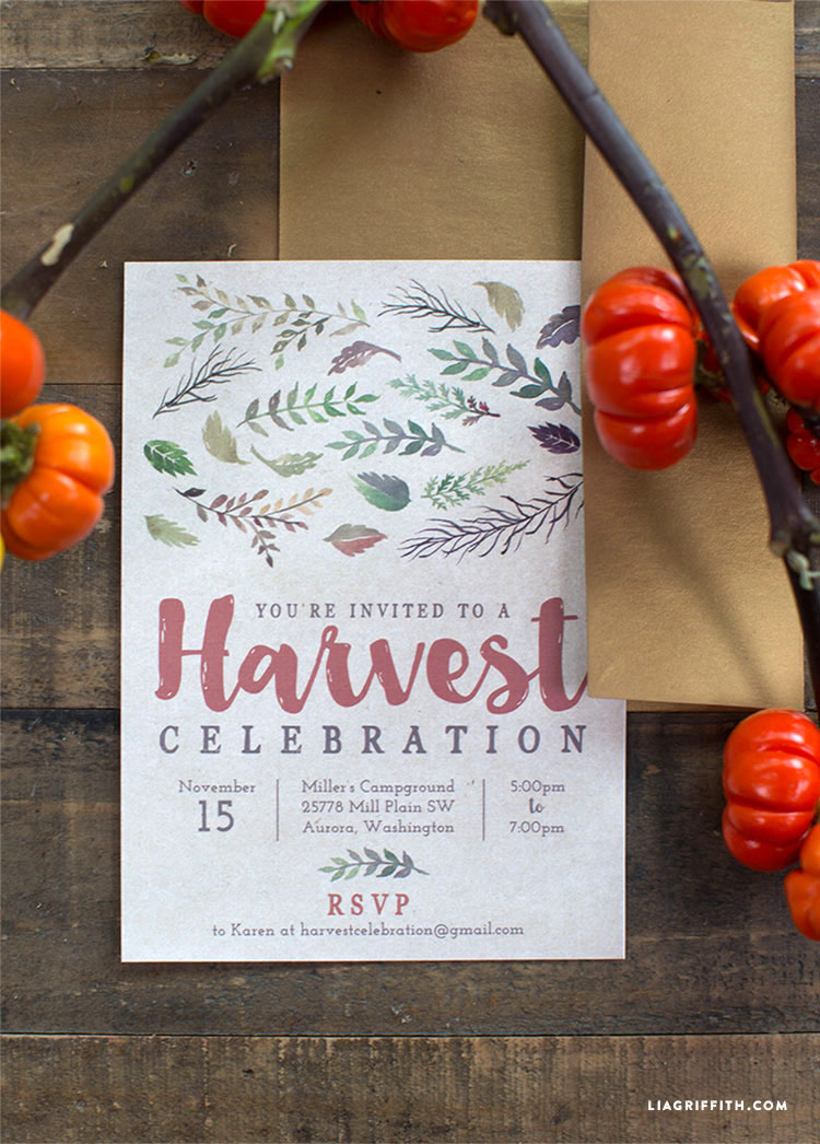 fall harvest party invitation lia griffith harvest party invites