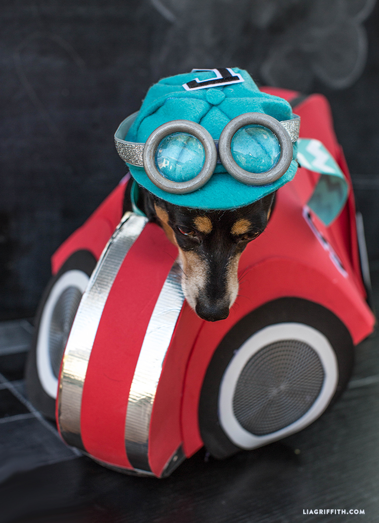 無料印刷可能 Dog Race Car Driver Costume - 三洋ガメッツ