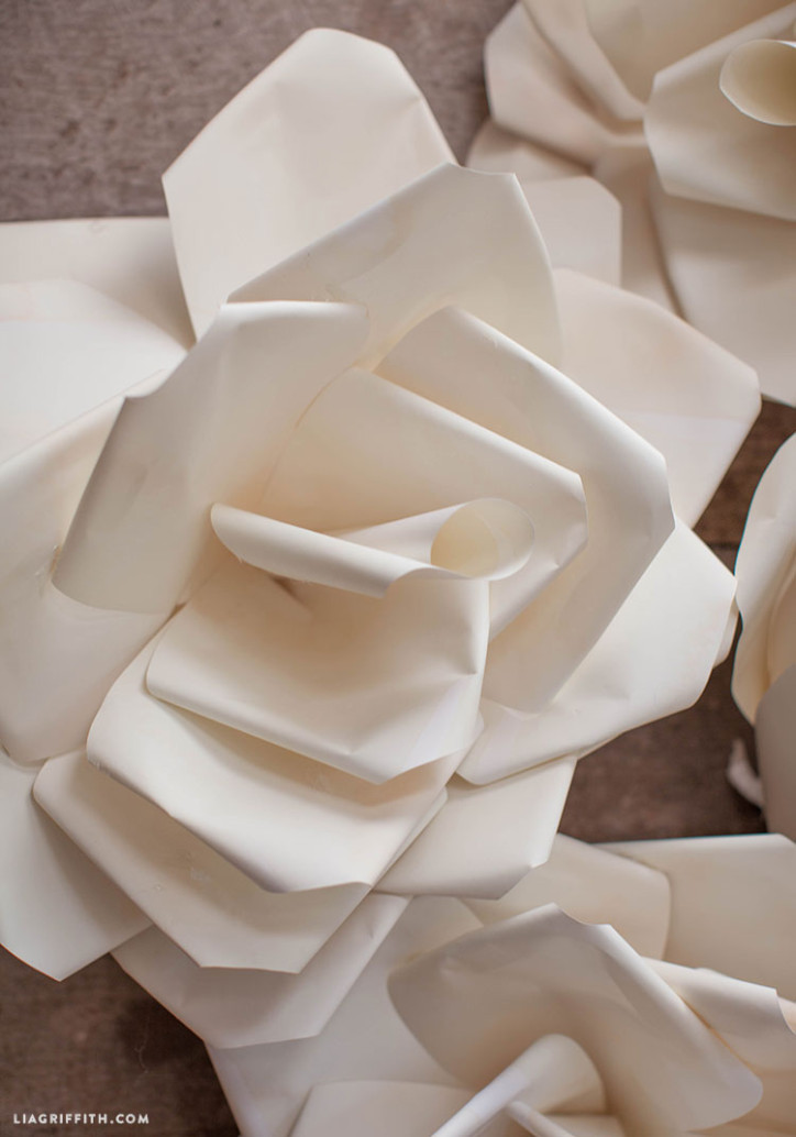video tutorial jumbo paper flower wedding backdrop lia griffith paper flower wallpaper