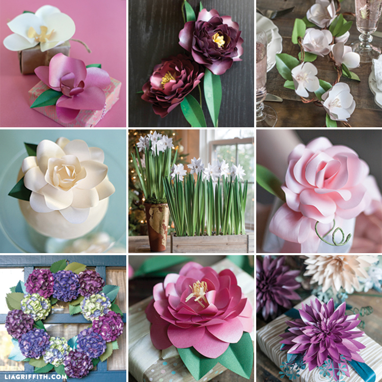 My Top 10 Paper Flowers Lia Griffith Bloglovin’