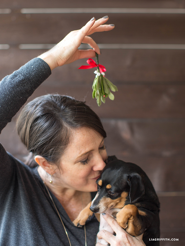 Diy Felt Mistletoe Lia Griffith