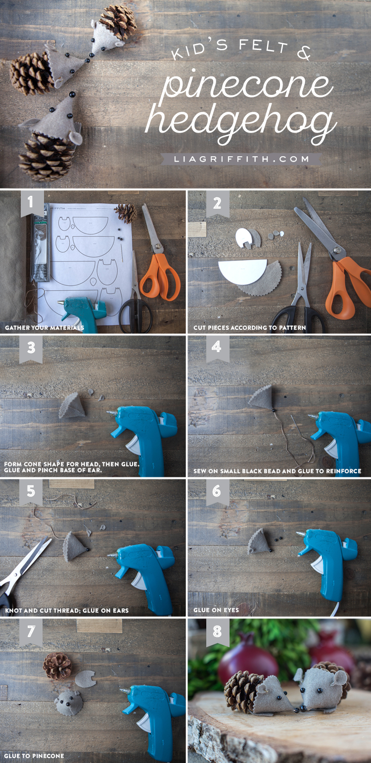 Felt Pinecone Hedgehog Lia Griffith