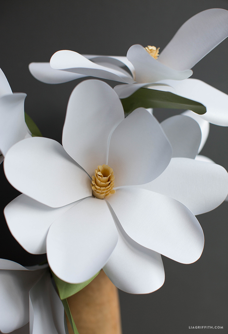 paper magnolia flower lia griffith