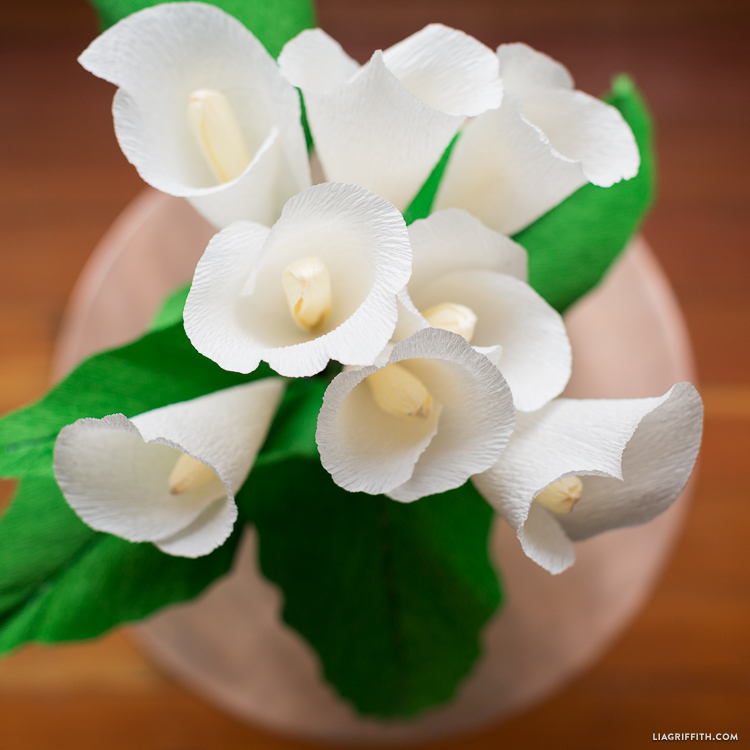 crepe paper calla lily lia griffith paper lily flower