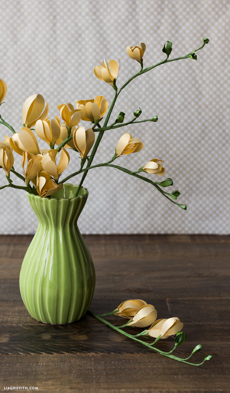 The most beautiful home flowers. Freesia The most beautiful home flowers. Freesia