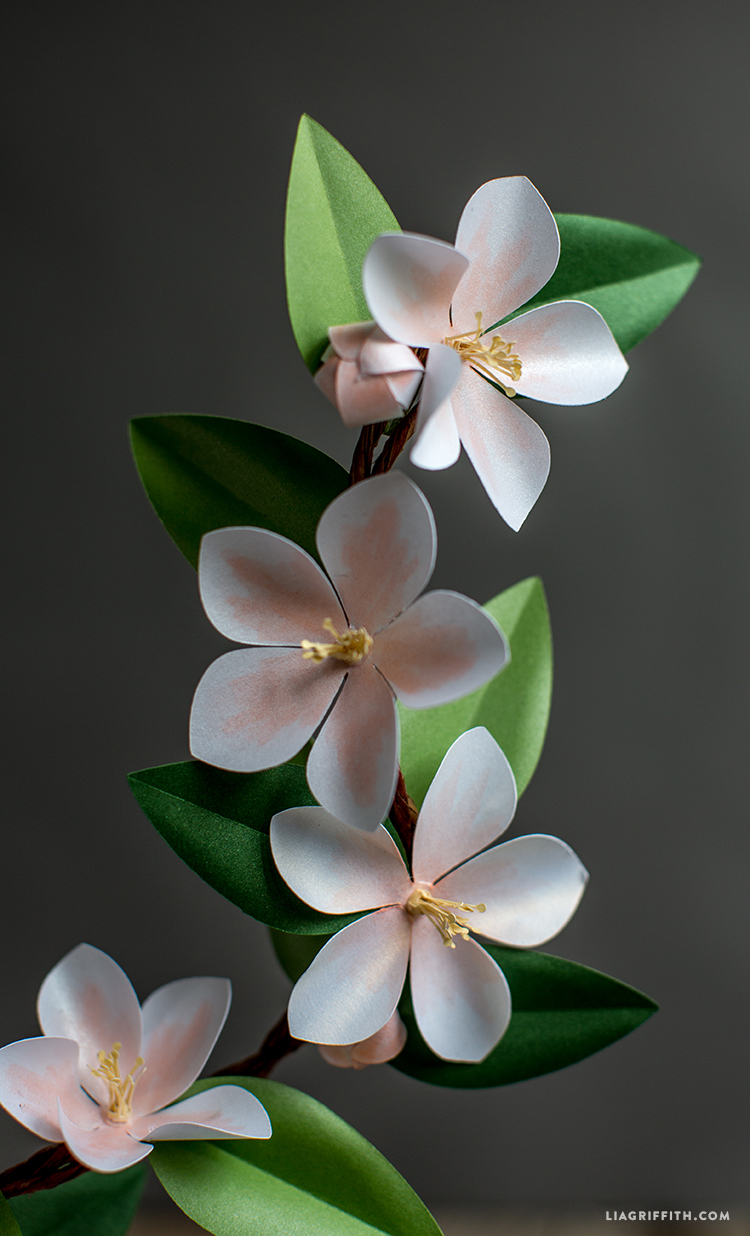 paper apple blossom pattern