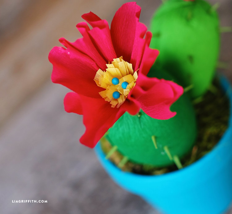 Crepe Paper Cactus Plants Lia Griffith