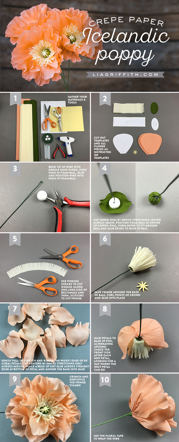 Crepe Paper Icelandic Poppies Lia Griffith