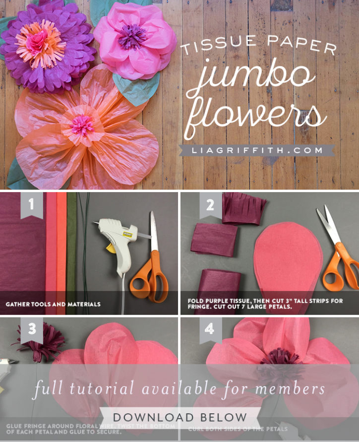 Jumbo Tissue Paper Flowers Lia Griffith