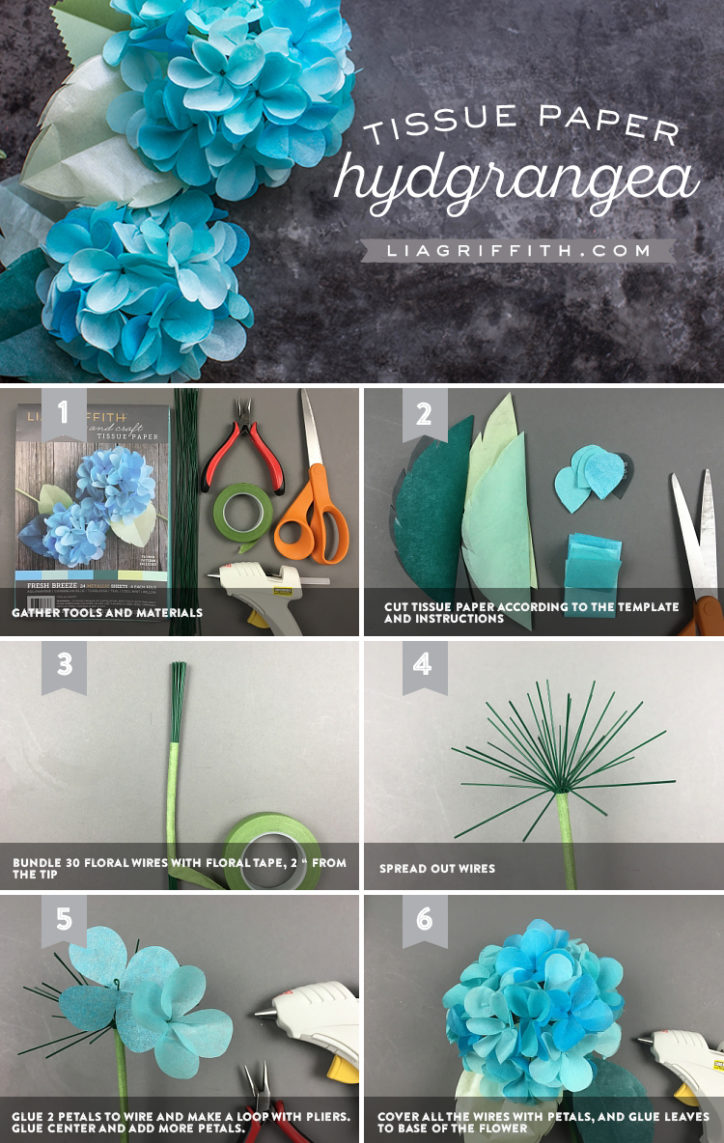 Tissue Paper Hydrangeas Lia Griffith