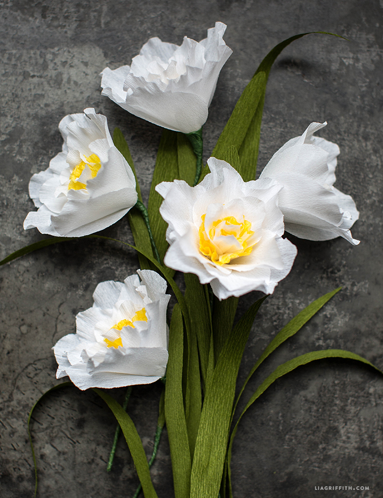 Crepe Daffodils Crepe Daffodils