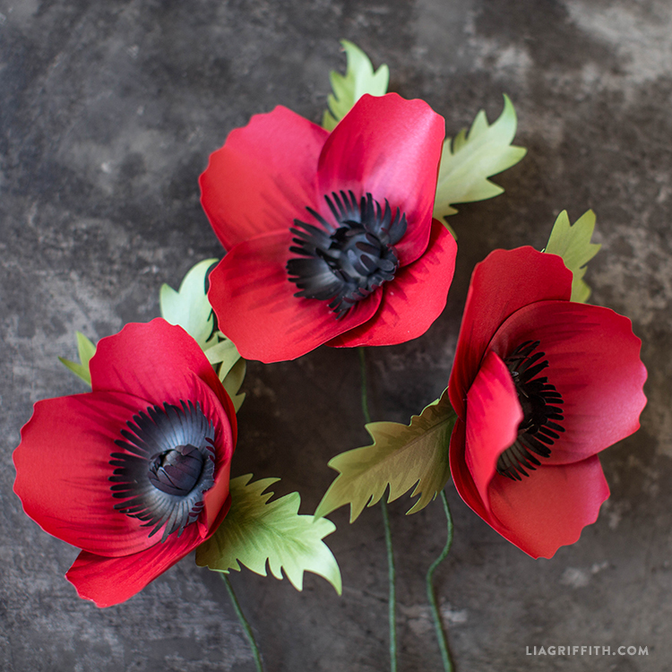 diy frosted paper california poppies poppy paper flower