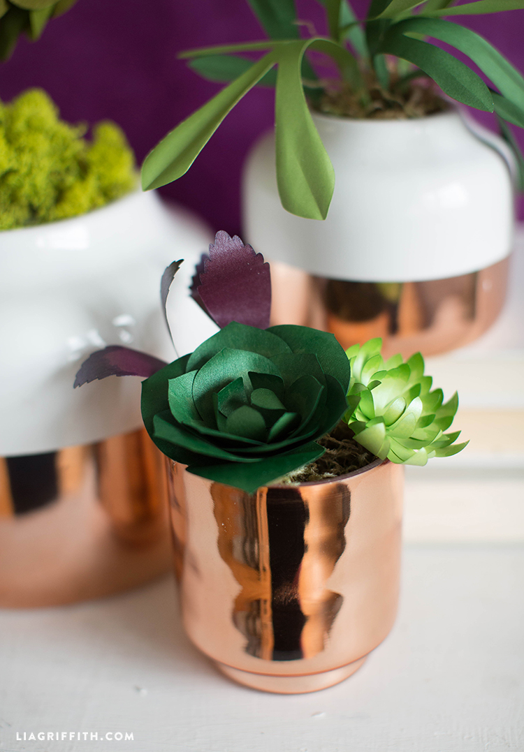 DIY Paper Succulents DIY Paper Succulents