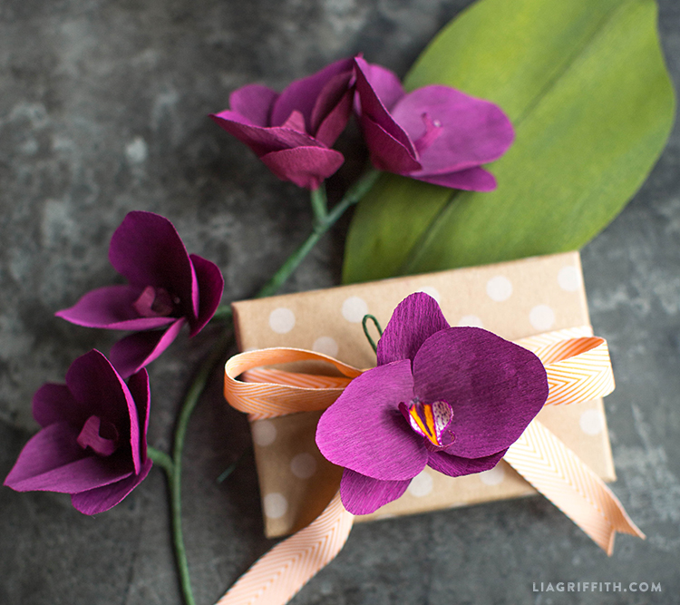 double sided sangria aubergine cherry raspberry lia griffith paper orchid flower