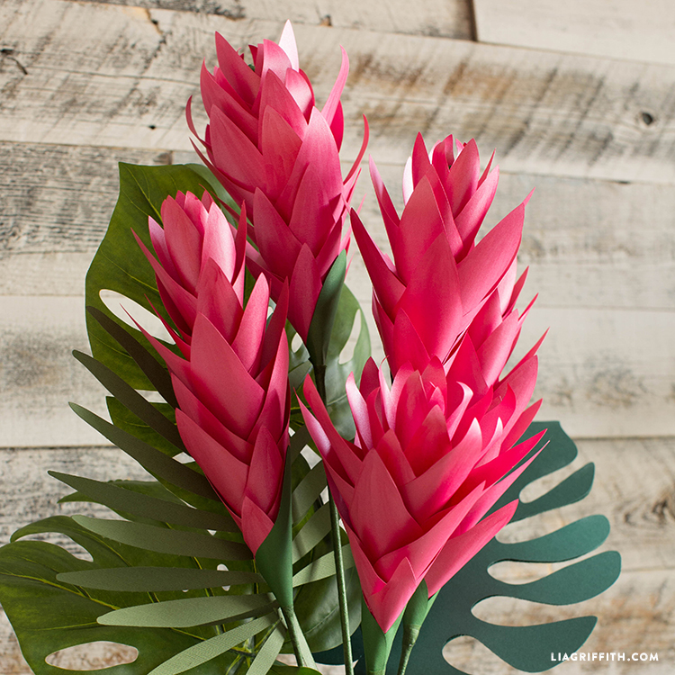 tropical paper ginger flower lia griffith paper flower project