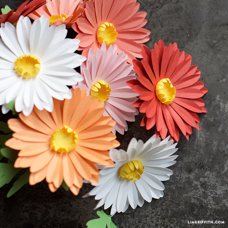 simple paper daisies lia griffith paper flower daisy
