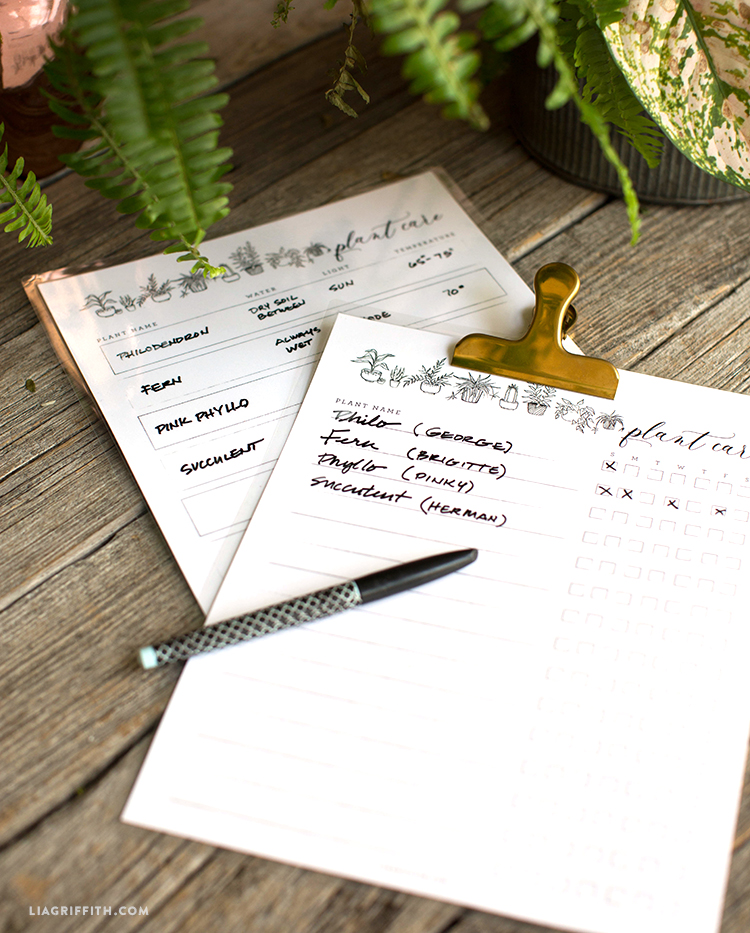 celebrate earth day with a free plant care printable paper flower plant care