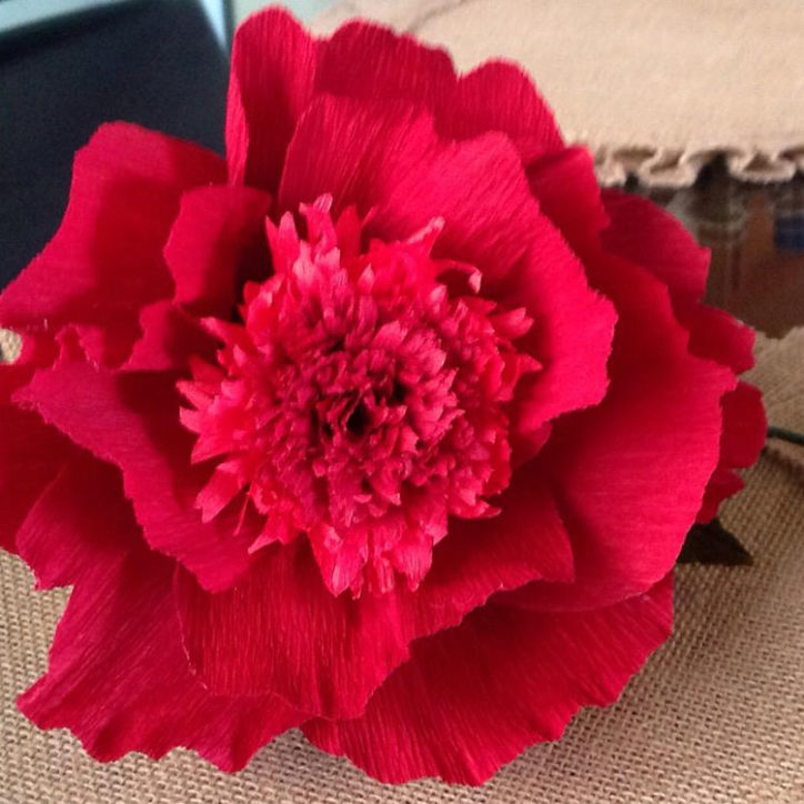 DIY Red Charm Peony
