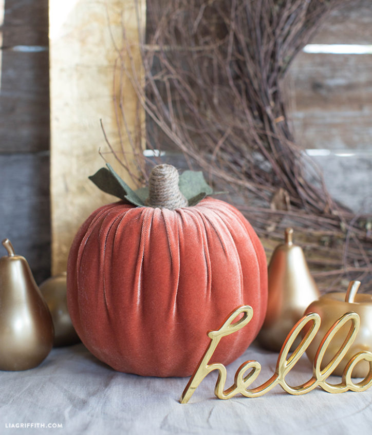 Velvet pumpkin