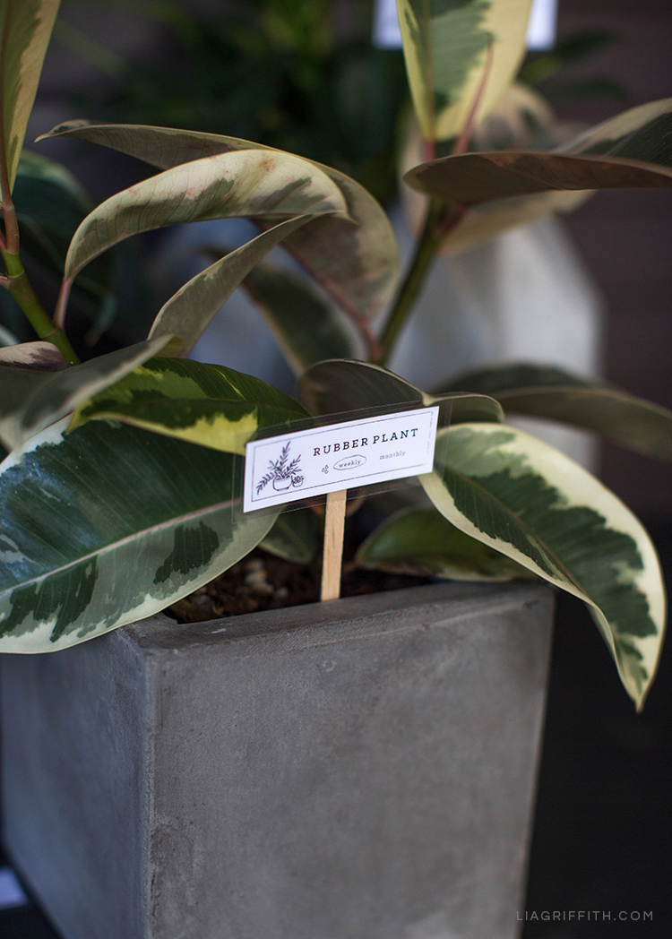 Keep Your Plants Happy With These Plant Markers Lia Griffith
