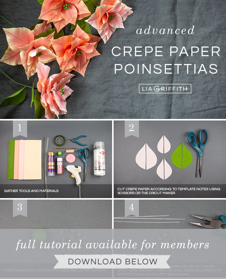 Photo tutorial for pink crepe paper poinsettia plants by Lia Griffith