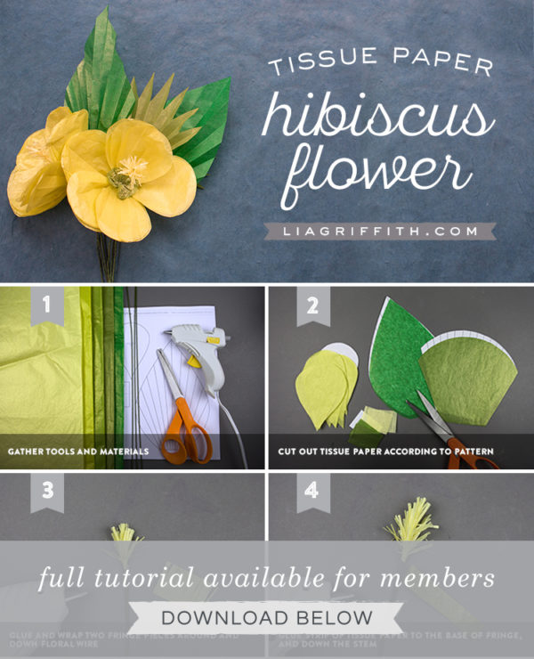 DIY Tropical Flowers Tissue Paper Hibiscus Lia Griffith