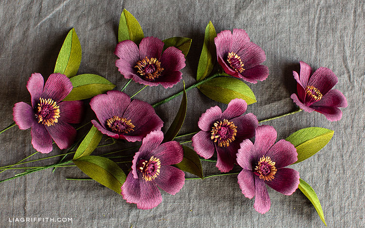 crepe paper chocolate cosmos flowers