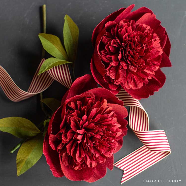 crepe paper red charm peony flowers with red and white ribbon