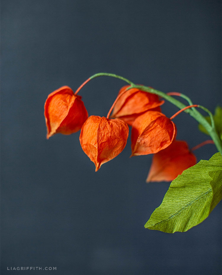 crepe paper chinese lantern flowers lia griffith paper lantern flower