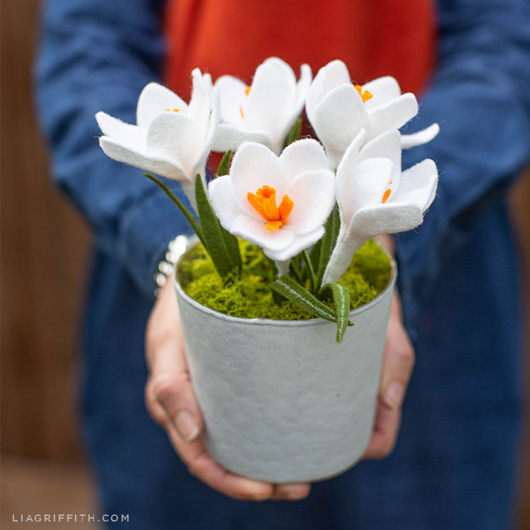 Woman holding felt Crocus flowers in pot