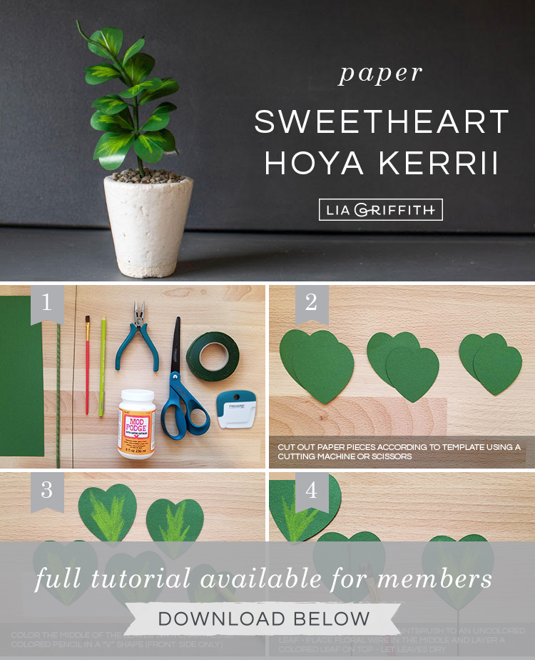 Photo tutorial for paper Hoya Kerrii plant (sweetheart plant) by Lia Griffith