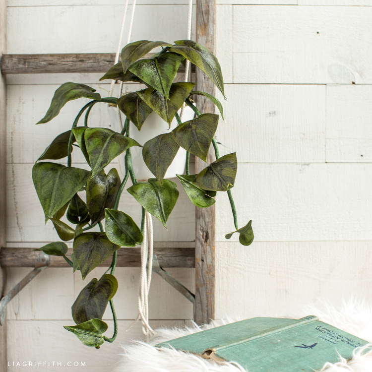 crepe paper heartleaf philodendron hanging on ladder