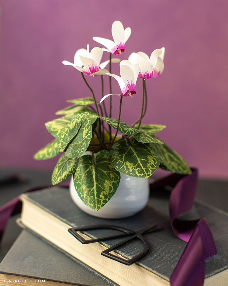 paper cyclamen plant in pot on book against purple background