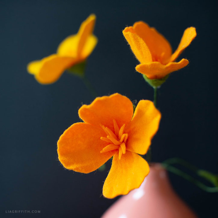 felt poppies