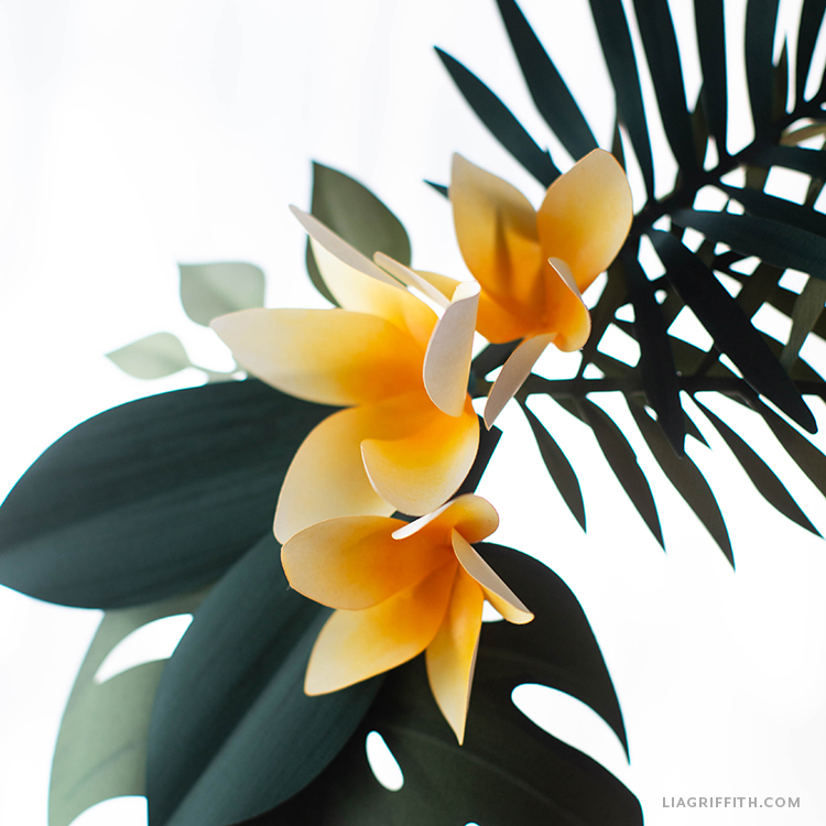 handmade tropical flowers paper plumerias lia griffith plumeria paper flower