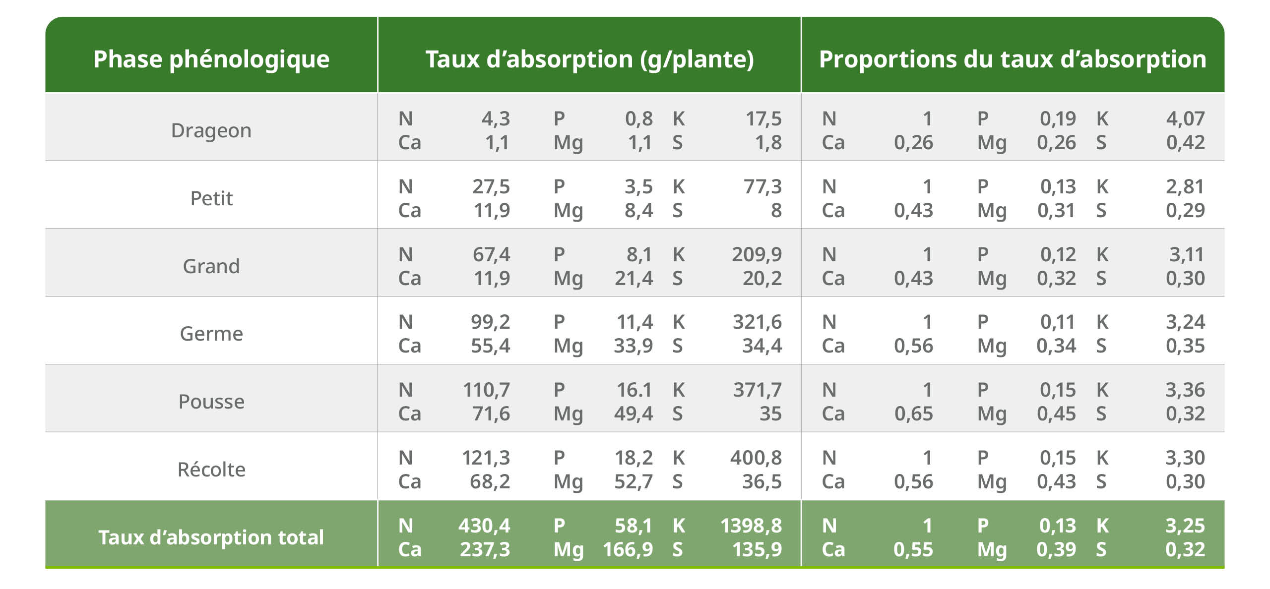 Phases phénologiques de l’aubergine et ses besoins nutritionnels SQM
