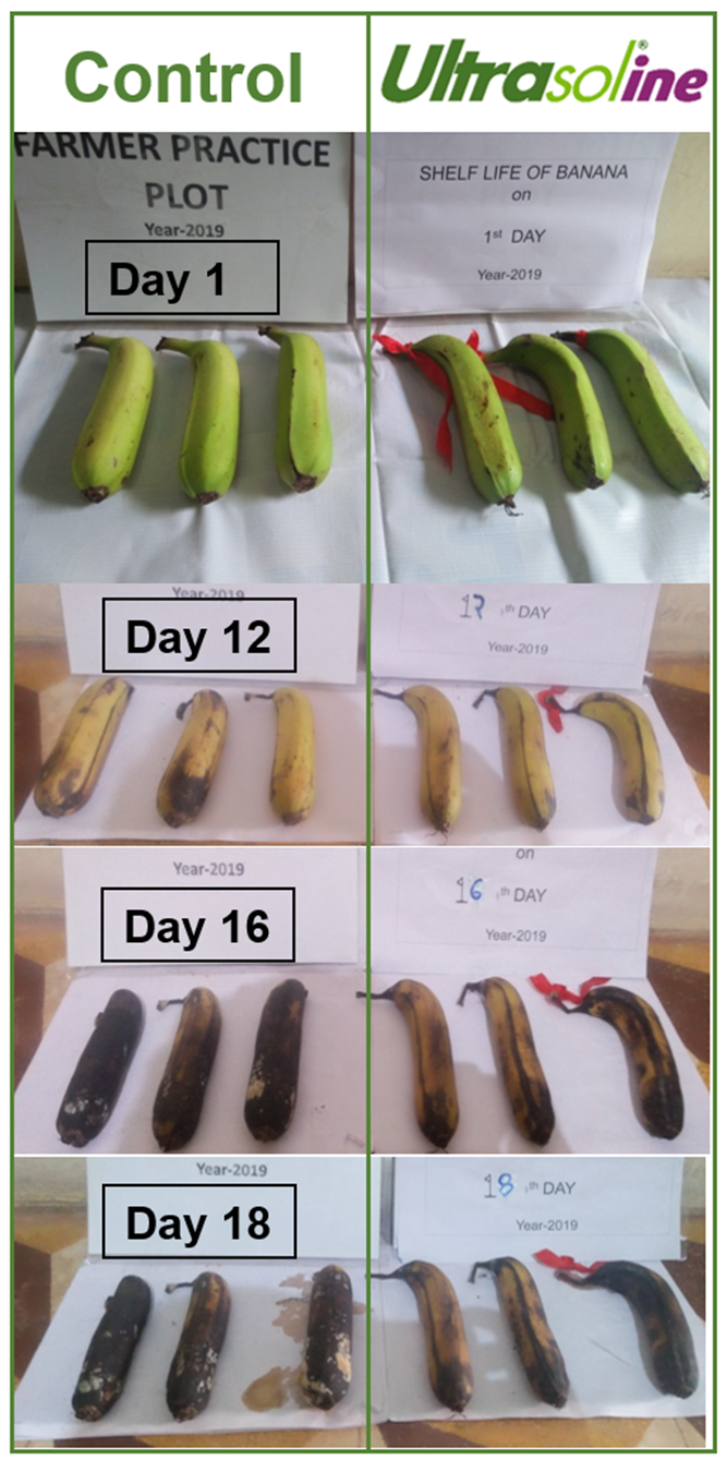 Ultrasol®ine K Plus potassium nitrate with iodine demonstrated the