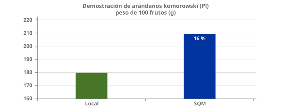 text image